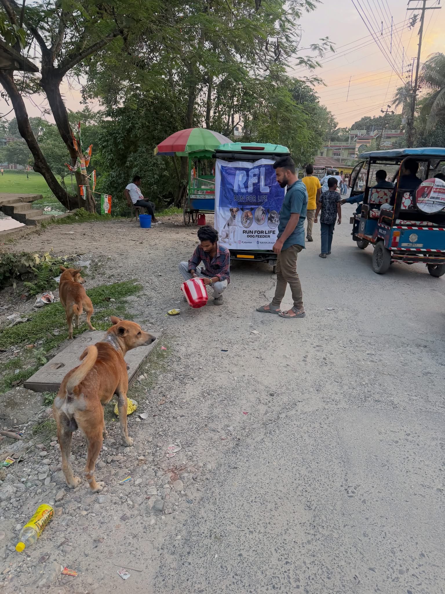 Volunteers feeding street dogs in Alipurduar
