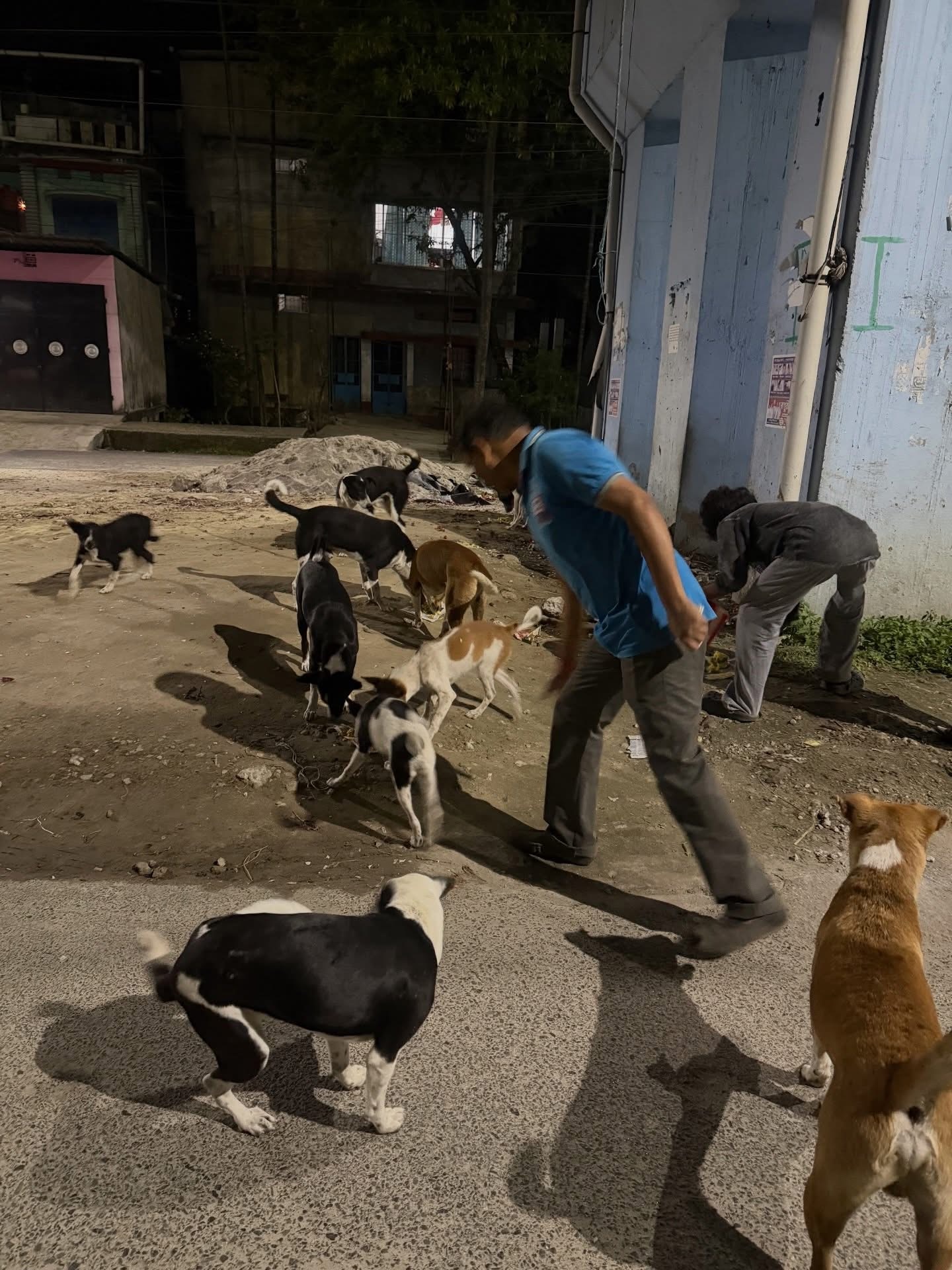 Run For Life volunteer with rescued dog